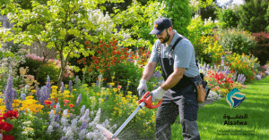 قص الأشجار صيانة الحدائق الشارقة